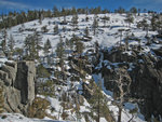 Yosemite Creek