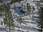 Footbridge over Yosemite Creek