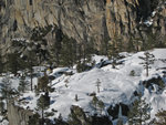 Yosemite010909-660.jpg