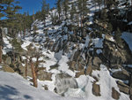 Top of Yosemite Falls