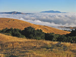 MissionPeak080308-246.jpg