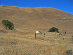 MissionPeak080308-255.jpg