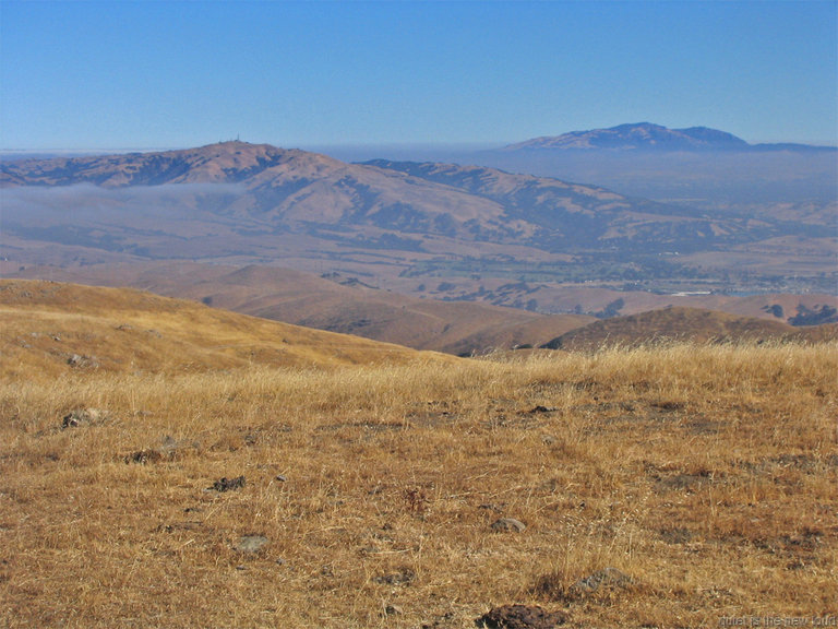 MissionPeak080308-256.jpg