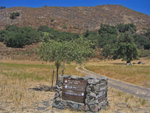 MissionPeak080308-267.jpg