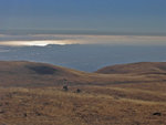 MissionPeak080308-309.jpg