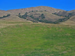 Day hike 11-15-08: Mission Peak