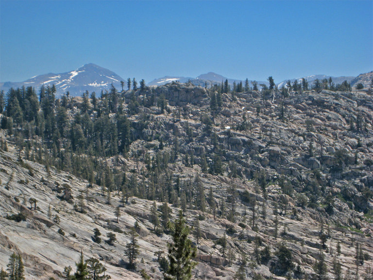 TuolumnePeak070609-356.jpg