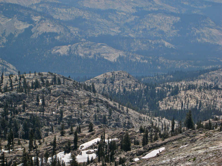 TuolumnePeak070609-370.jpg