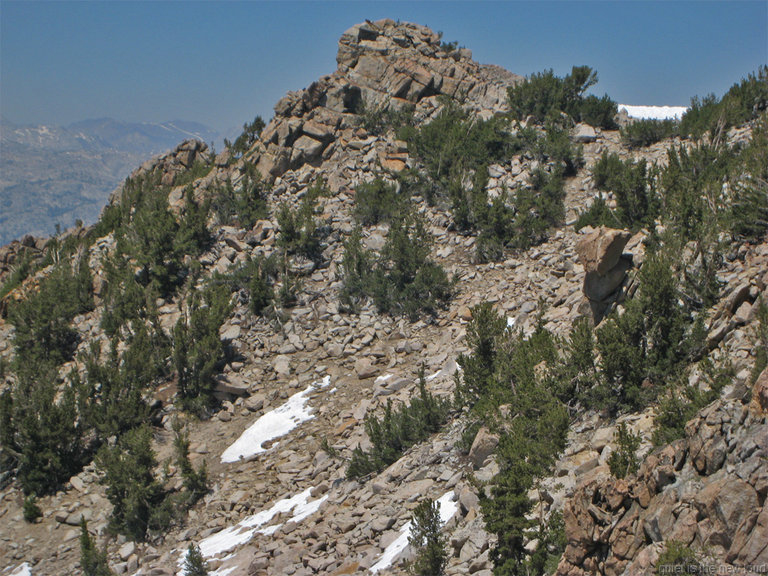 TuolumnePeak070609-383.jpg