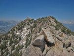 TuolumnePeak070609-384.jpg