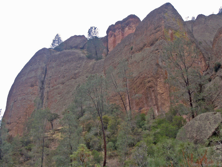 Pinnacles_121308_067.jpg