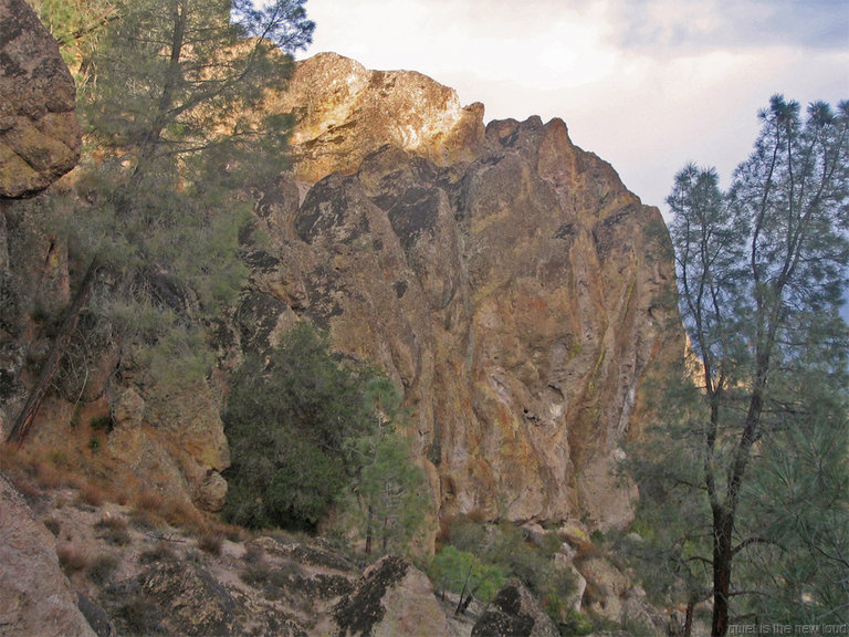 Pinnacles_121308_035.jpg