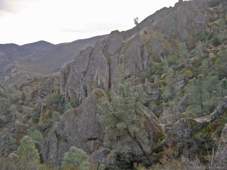 Pinnacles_121308_029.jpg