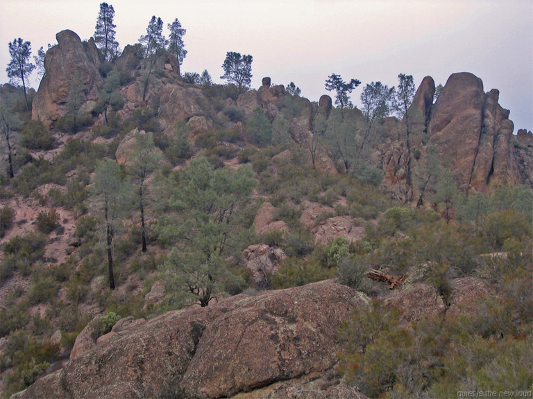 Pinnacles_121308_017.jpg