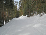 Glacier Point Road