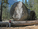 Sentinel Boulder B-1