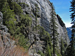 Walls of Indian Canyon