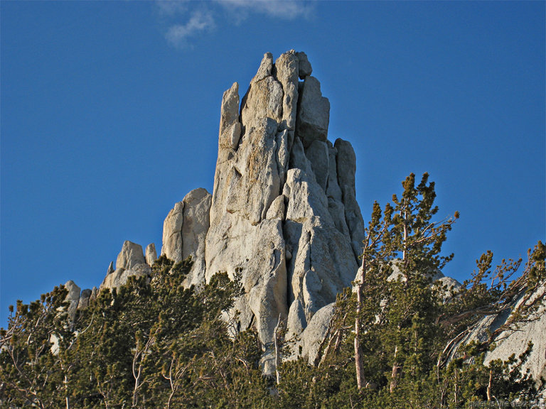 Tresidder Peak