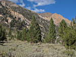 matterhornpeak091110-013.jpg