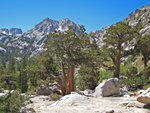 matterhornpeak091110-043.jpg