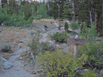 matterhornpeak091110-353.jpg