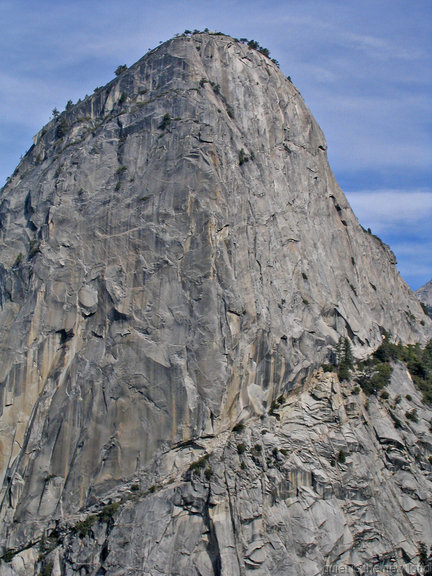 Liberty Cap