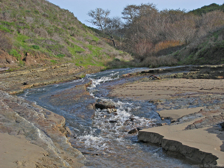 Point Reyes - Santa Maria Creek