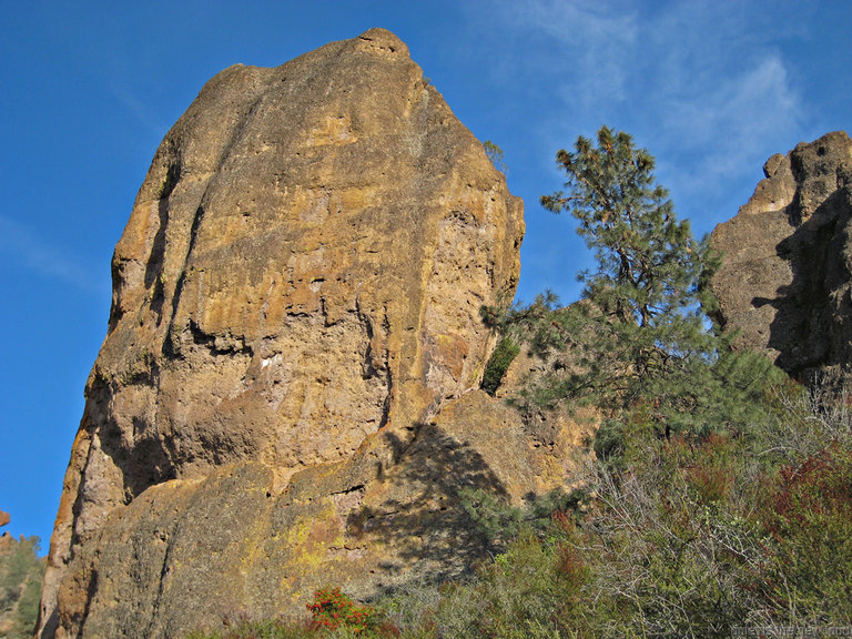 pinnacles112810-010.jpg