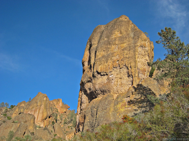 pinnacles112810-011.jpg