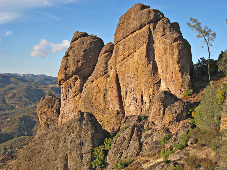 pinnacles112810-014.jpg