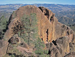 pinnacles112810-044.jpg