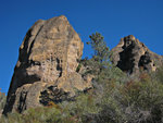 pinnacles112810-051.jpg