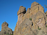 pinnacles112810-056.jpg