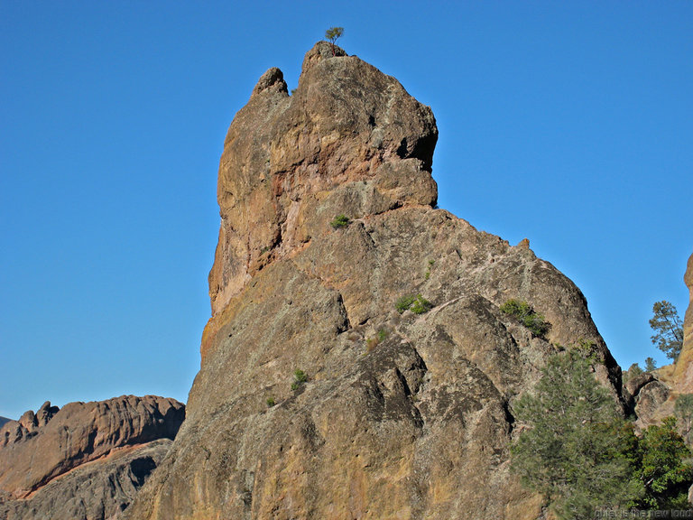 pinnacles112810-060.jpg