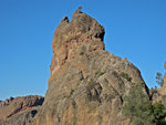 pinnacles112810-060.jpg