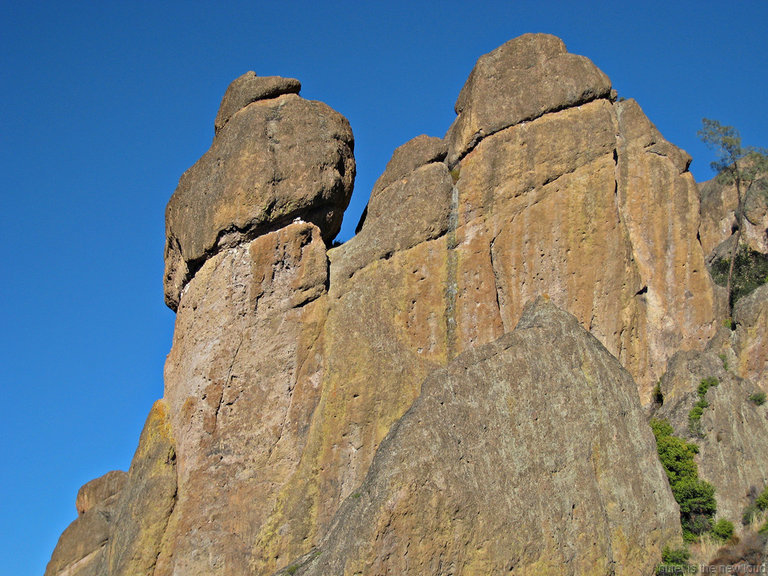 pinnacles112810-061.jpg