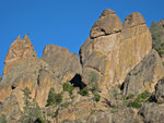 pinnacles112810-066.jpg