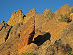 pinnacles112810-088.jpg