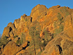 pinnacles112810-089.jpg