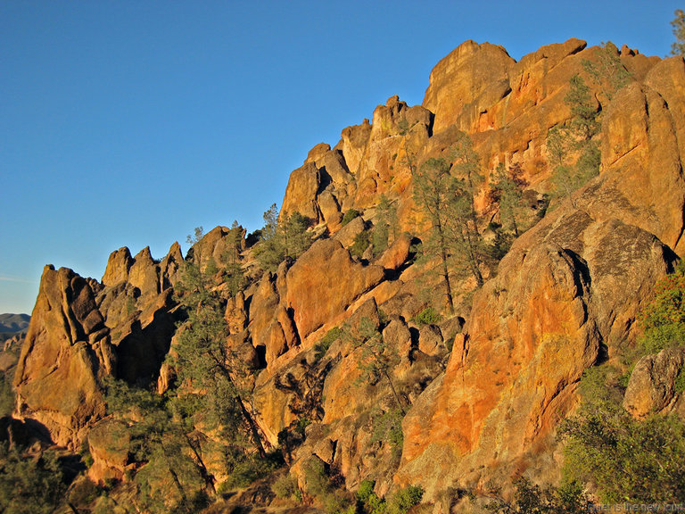 pinnacles112810-091.jpg