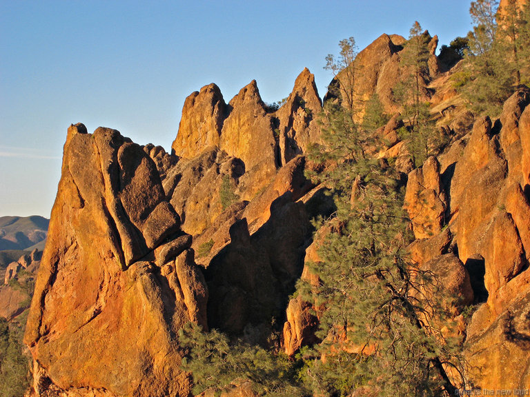 pinnacles112810-092.jpg