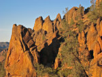 pinnacles112810-092.jpg