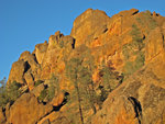 pinnacles112810-093.jpg