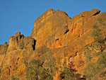 pinnacles112810-094.jpg