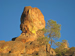 pinnacles112810-096.jpg