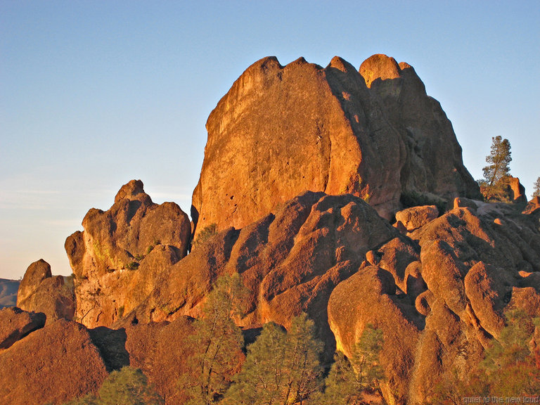 pinnacles112810-099.jpg