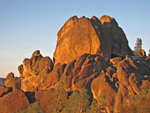 pinnacles112810-099.jpg