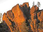 pinnacles112810-105.jpg