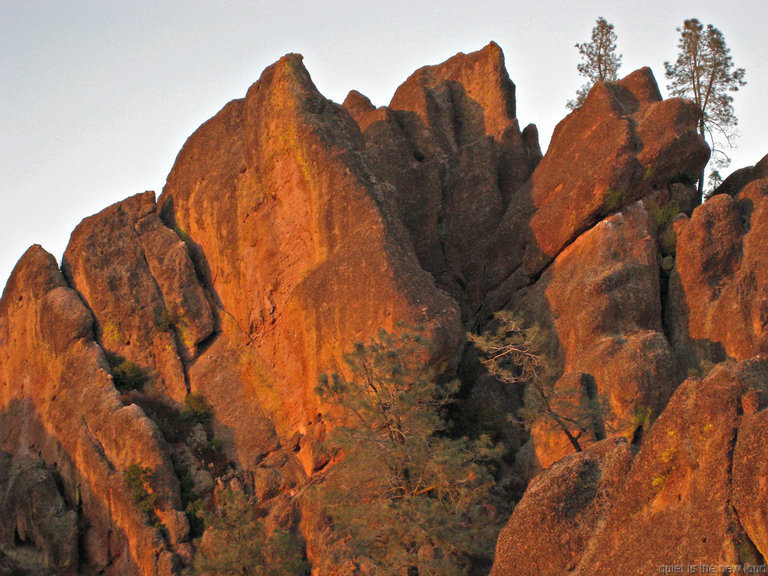 pinnacles112810-108.jpg