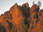 pinnacles112810-108.jpg